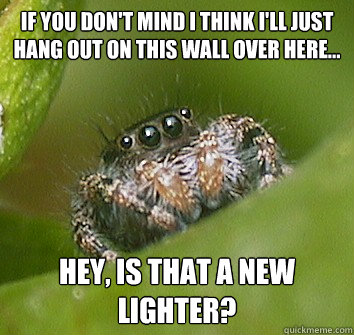 If you don't mind I think I'll just hang out on this wall over here... Hey, is that a new lighter?  Misunderstood Spider