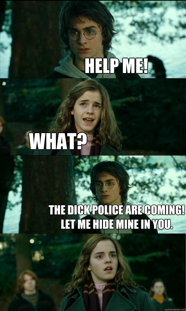 Help me! what? The dick police are coming! Let me hide mine in you.  Horny Harry