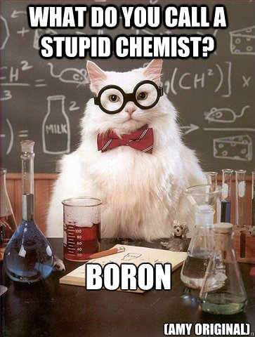 What do you call a stupid chemist? Boron 
 (Amy original) - What do you call a stupid chemist? Boron 
 (Amy original)  Chemistry Cat