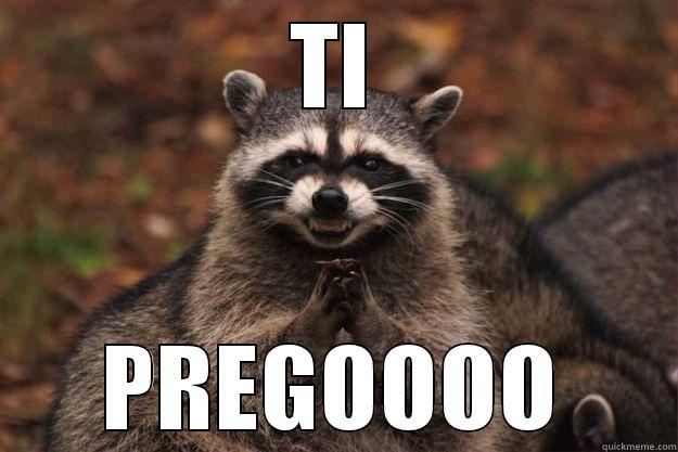 TI PREGOOOO Evil Plotting Raccoon