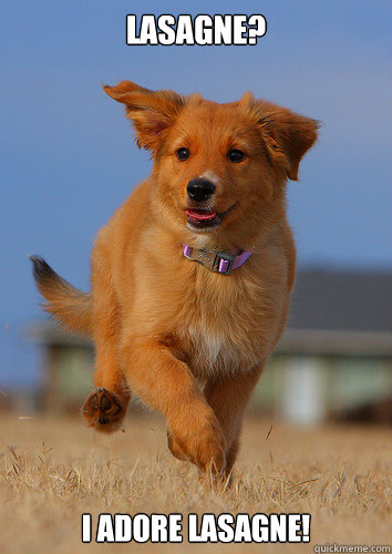 Lasagne? I adore lasagne!  Ridiculously Photogenic Puppy