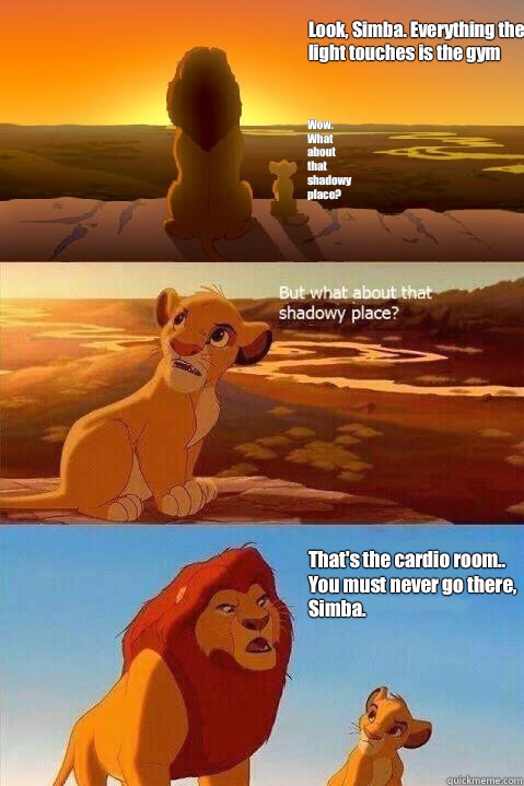 Look, Simba. Everything the light touches is the gym Wow. What about that shadowy place? That's the cardio room.. You must never go there, Simba.   Lion King Shadowy Place