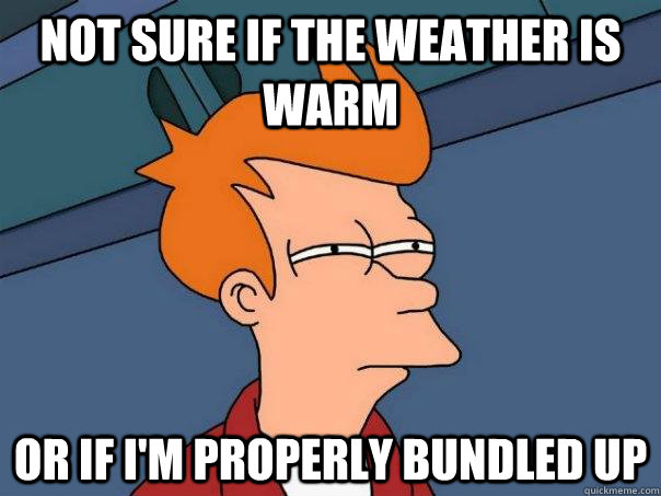 Not sure if the weather is warm or if i'm properly bundled up  Futurama Fry