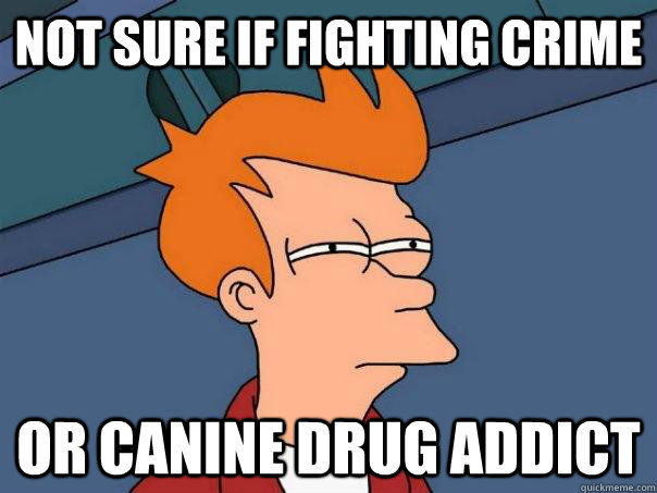 Not sure if fighting crime or canine drug addict  Futurama Fry