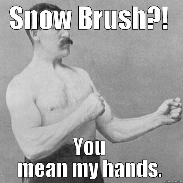 SNOW BRUSH?! YOU MEAN MY HANDS. overly manly man