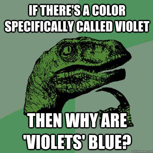 If There's a color specifically called violet Then why are 'violets' blue?  Philosoraptor