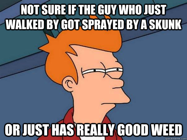 not sure if the guy who just walked by got sprayed by a skunk or just has really good weed  Futurama Fry