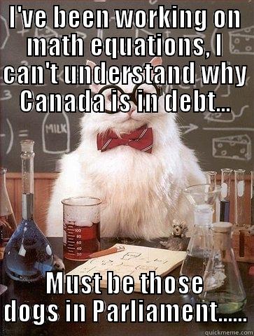 I'VE BEEN WORKING ON MATH EQUATIONS, I CAN'T UNDERSTAND WHY CANADA IS IN DEBT... MUST BE THOSE DOGS IN PARLIAMENT...... Chemistry Cat