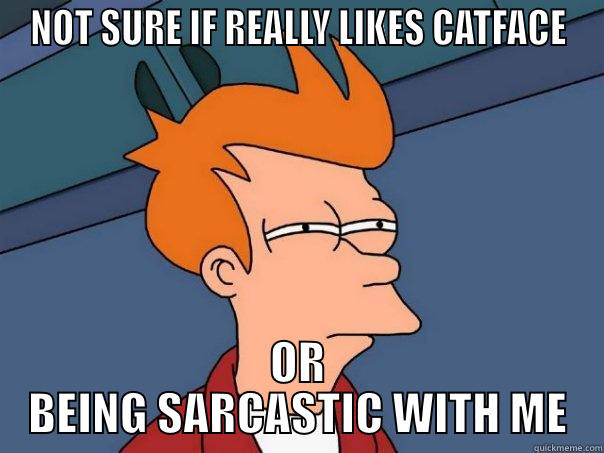 catface sarcasm - NOT SURE IF REALLY LIKES CATFACE OR BEING SARCASTIC WITH ME Futurama Fry