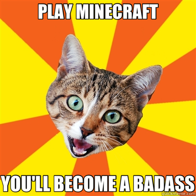 PLAY MINECRAFT YOU'LL BECOME A BADASS  Bad Advice Cat