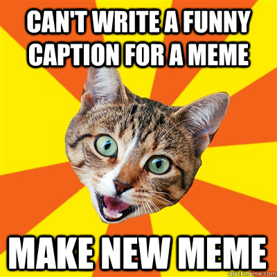 CAN'T WRITE A FUNNY CAPTION FOR A MEME MAKE NEW MEME  Bad Advice Cat