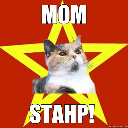 MOM STAHP!   Lenin Cat