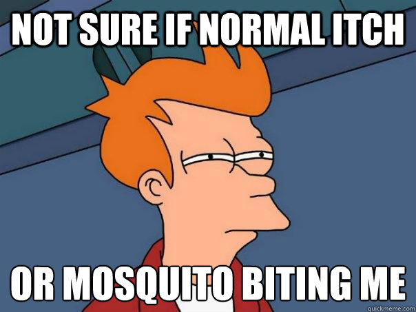 Not sure if normal itch Or mosquito biting me  Futurama Fry