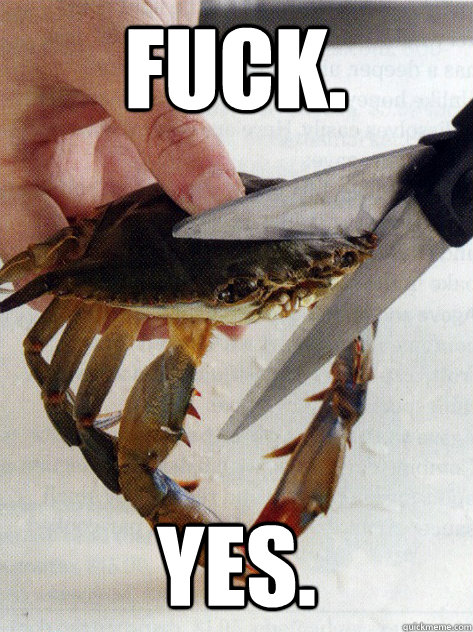 Fuck. Yes. - Fuck. Yes.  Optimistic Crab