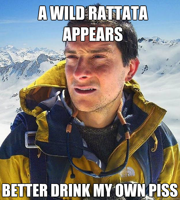 a wild rattata appears  better drink my own piss - a wild rattata appears  better drink my own piss  Best size bear grylls meme