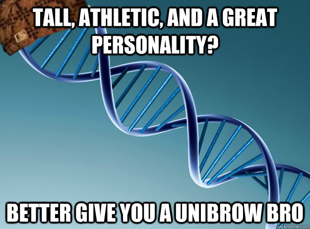 Tall, athletic, and a great personality? better give you a unibrow bro  Scumbag Genetics