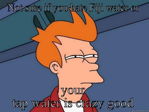 NOT SURE IF YOU HATE FIJI WATER OR YOUR TAP WATER IS CRAZY GOOD Futurama Fry