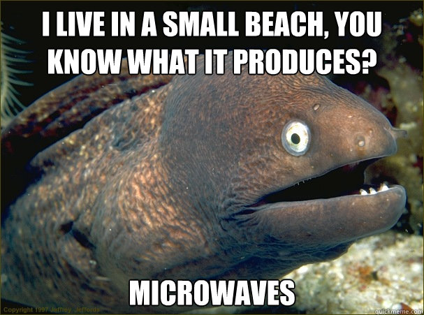 I live in a small beach, you know what it produces? microwaves  Bad Joke Eel