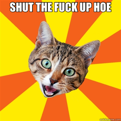 SHUT THE FUCK UP HOE   Bad Advice Cat