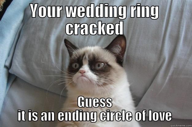 YOUR WEDDING RING CRACKED GUESS IT IS AN ENDING CIRCLE OF LOVE Grumpy Cat