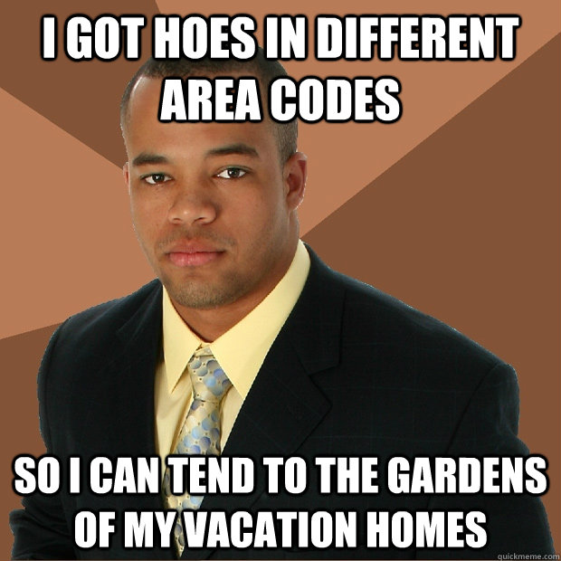 I got hoes in different area codes so i can tend to the gardens of my vacation homes - I got hoes in different area codes so i can tend to the gardens of my vacation homes  Successful Black Man