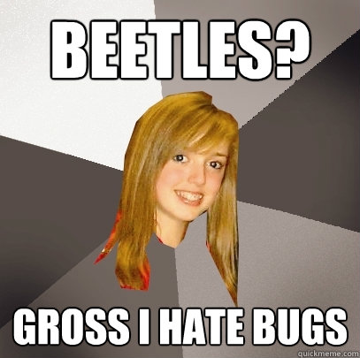 beetles? gross i hate bugs  Musically Oblivious 8th Grader