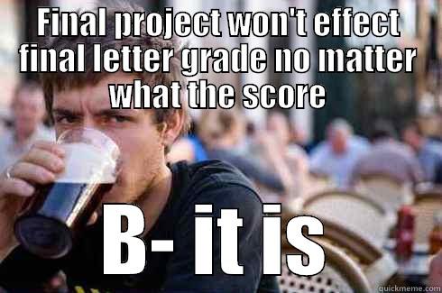 FINAL PROJECT WON'T EFFECT FINAL LETTER GRADE NO MATTER WHAT THE SCORE B- IT IS Lazy College Senior