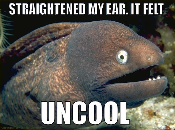 STRAIGHTENED MY EAR. IT FELT UNCOOL Bad Joke Eel