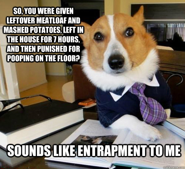 So, you were given leftover meatloaf and mashed potatoes, left in the house for 7 hours, and then punished for pooping on the floor? sounds like entrapment to me  Lawyer Dog