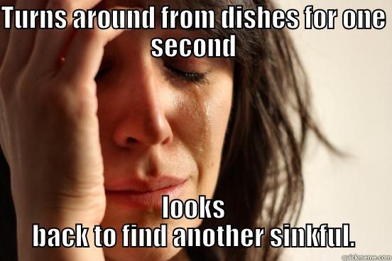 TURNS AROUND FROM DISHES FOR ONE SECOND LOOKS BACK TO FIND ANOTHER SINKFUL. First World Problems