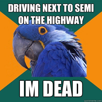 driving next to semi on the highway im dead - driving next to semi on the highway im dead  Paranoid Parrot