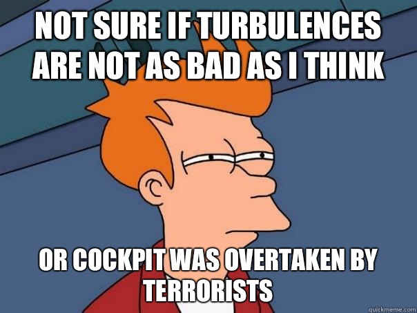 Not sure if turbulences are not as bad as I think or cockpit was overtaken by terrorists  Futurama Fry