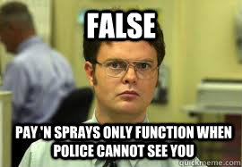 FALSE Pay 'n Sprays only function when police cannot see you  Dwight False