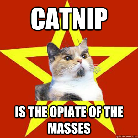 Catnip is the opiate of the masses  Lenin Cat