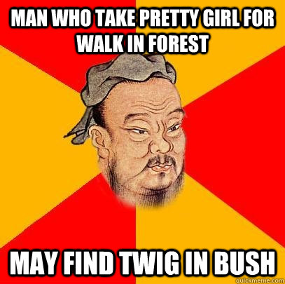 Man who take pretty girl for walk in forest may find twig in bush  - Man who take pretty girl for walk in forest may find twig in bush   Confucius says