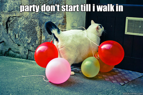 party don't start till i walk in   Party Cat