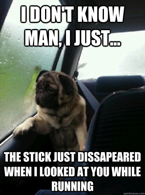 I don't know man, I just... the stick just dissapeared when i looked at you while running  Introspective Pug