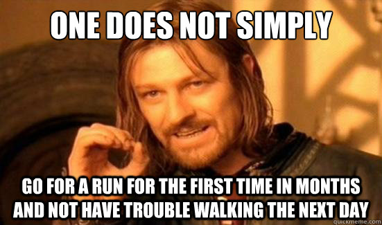 One Does Not Simply Go for a run for the first time in months and not have trouble walking the next day  Boromir