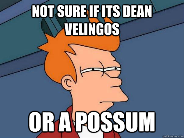 Not sure if its dean velingos or a possum   Futurama Fry