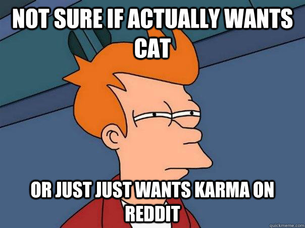 Not sure if actually wants cat or just just wants karma on reddit  Futurama Fry