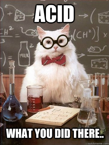 Acid what you did there.. - Acid what you did there..  Chemistry Cat