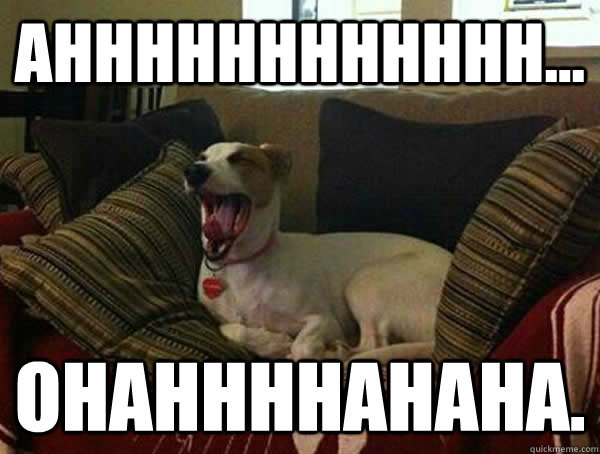 ahhhhhhhhhhhh... ohahhhhahaha.  Ridiculously Yawning Dog