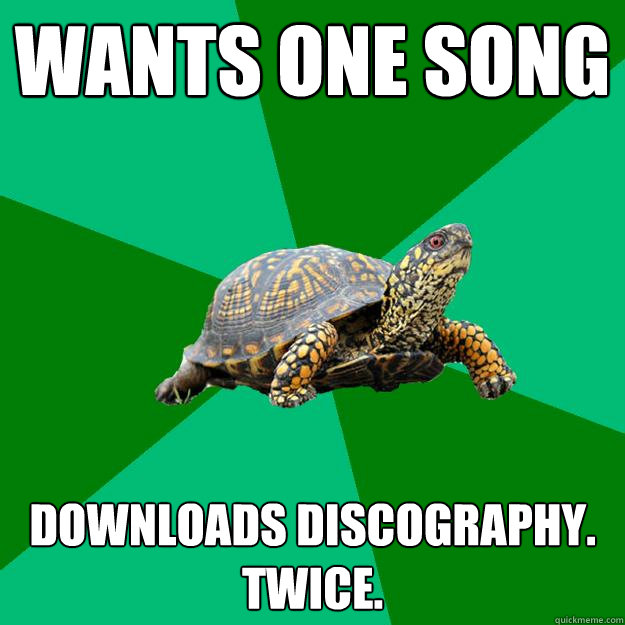 Wants one song Downloads Discography. twice.  Torrenting Turtle