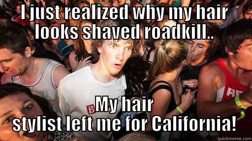 I just realized why my hair looks shaved roadkill... - I JUST REALIZED WHY MY HAIR LOOKS SHAVED ROADKILL.. MY HAIR STYLIST LEFT ME FOR CALIFORNIA! Sudden Clarity Clarence