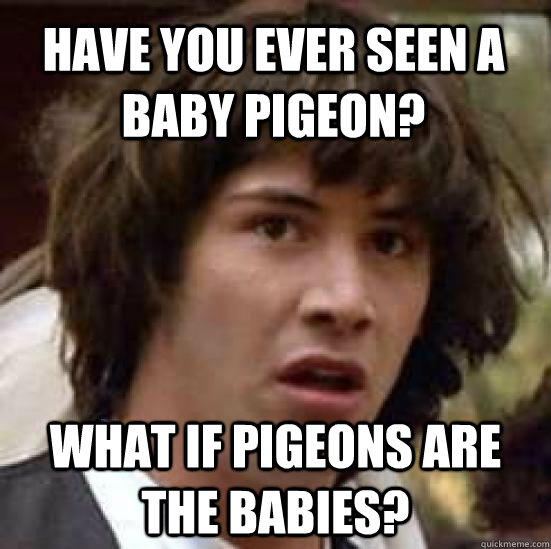 Have you ever seen a baby pigeon? What if pigeons are the babies? - Have you ever seen a baby pigeon? What if pigeons are the babies?  conspiracy keanu