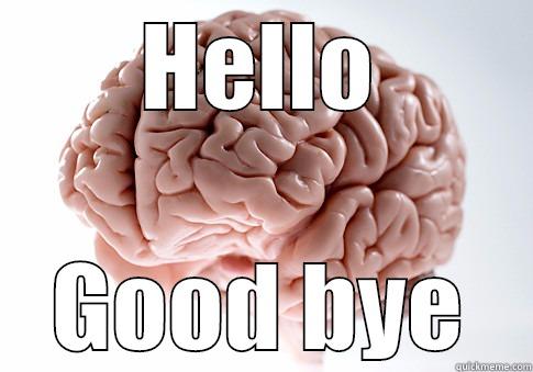 HELLO GOOD BYE Scumbag Brain