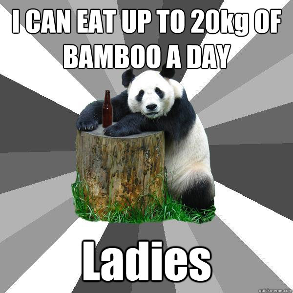 I CAN EAT UP TO 20kg OF BAMBOO A DAY Ladies  Pickup-Line Panda