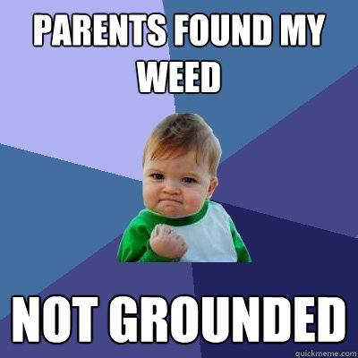 Parents found my weed Not Grounded  Success Kid