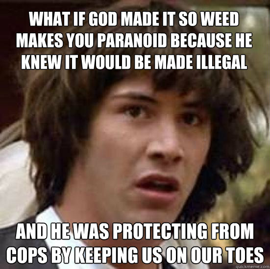 what if God made it so weed makes you paranoid because he knew it would be made illegal and he was protecting from cops by keeping us on our toes  conspiracy keanu