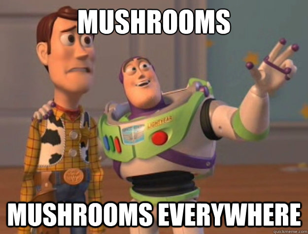 Mushrooms Mushrooms everywhere - Mushrooms Mushrooms everywhere  Toy Story